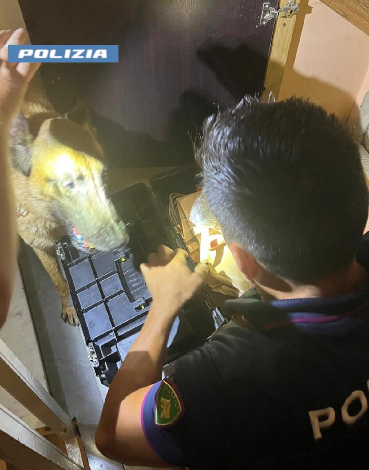 Polizia di Catania scopre oltre 100 grammi di cocaina nel cuore dei quartieri | Ecco cosa non ti dicono sulle irregolarità dei food truck! -