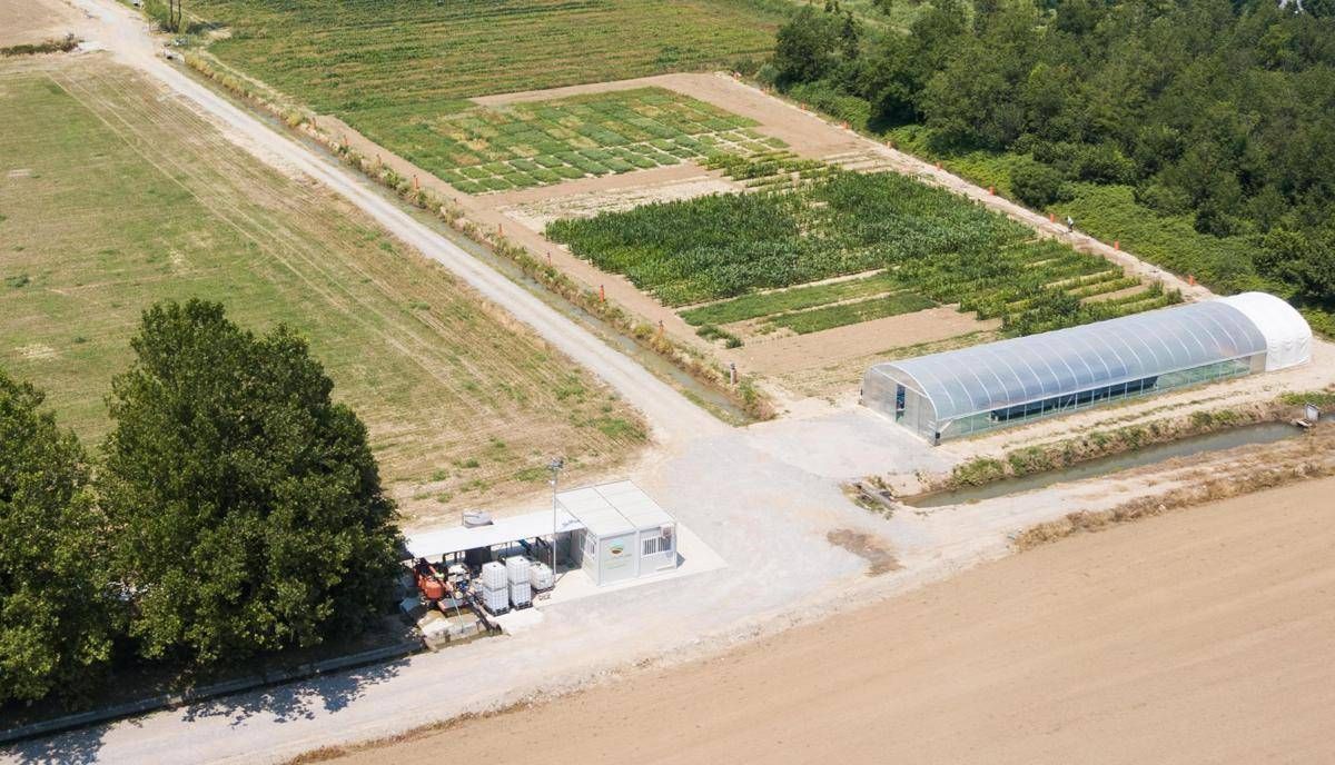 Agricoltura, MartinoRossi in campo per innovazione sostenibile con progetti sperimentali - 