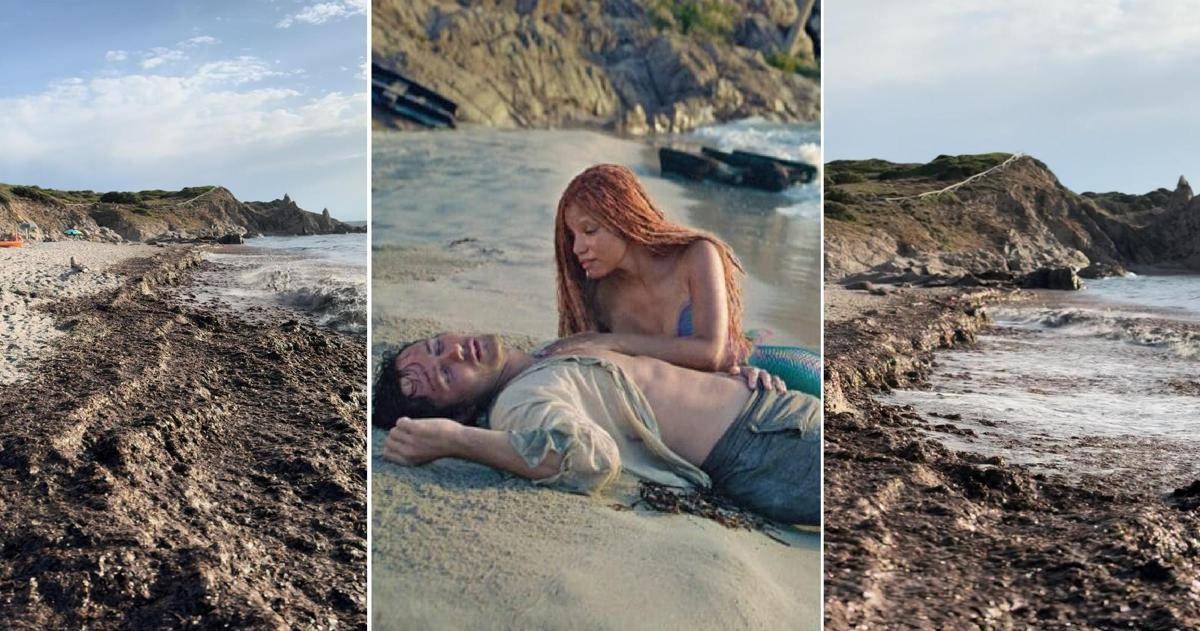 Rena Majore, le alghe inghiottono la spiaggia de 'La Sirenetta': è polemica - 