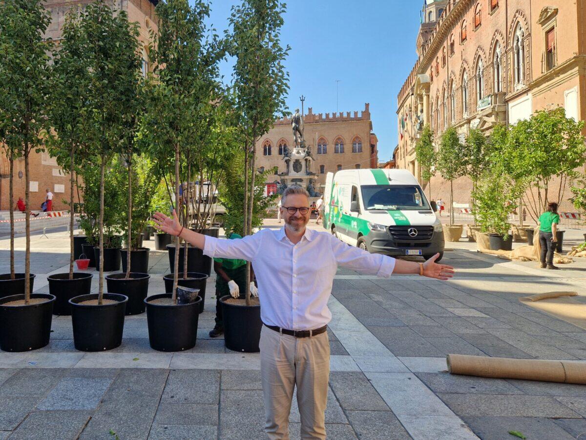 Alberi in vaso a Bologna | La sorprendente strategia per combattere il caldo urbano! - 