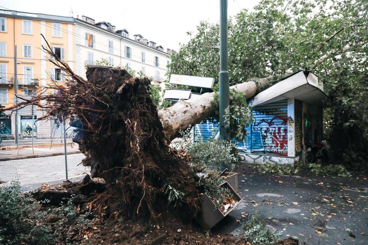 Maltempo, alberi caduti e allagamenti in Lombardia e Liguria -
