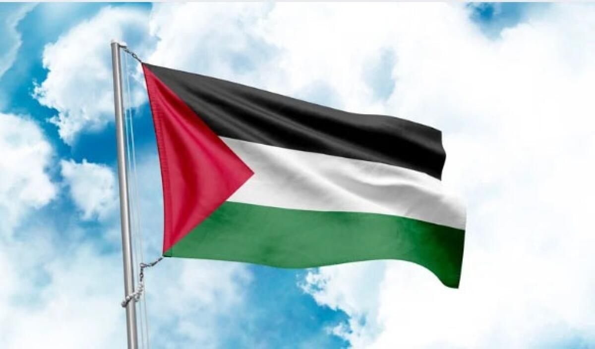 Portogallo pronto a riconoscere la Palestina | La Germania cambia idea? Scopri cosa potrebbe succedere! -