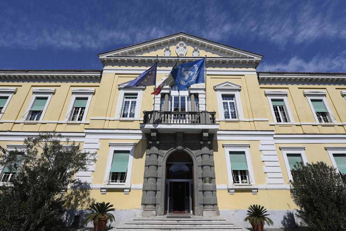West Nile, sette nuovi casi nel Lazio: due presentano sindrome neurologica - 