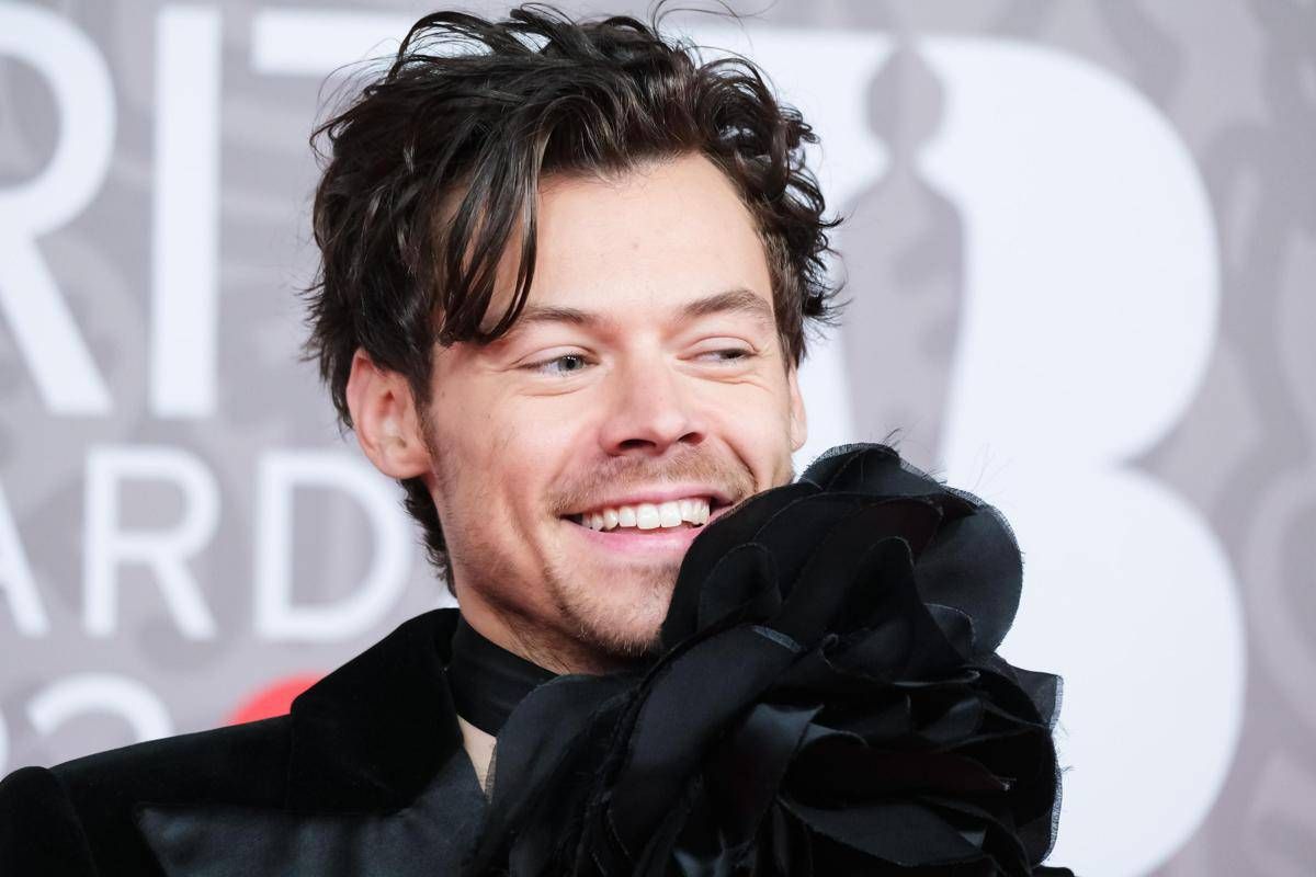 Harry Styles oltre la musica, lancia una linea di... sex toys: "Pleasing Yourself" - 