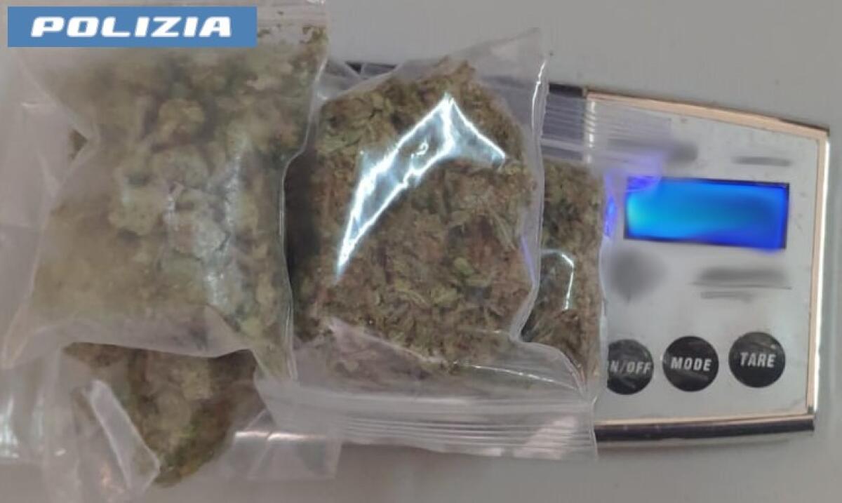 Due pusher arrestati a Catania con 350 grammi di marijuana | Cosa nasconde davvero la loro scusa? -