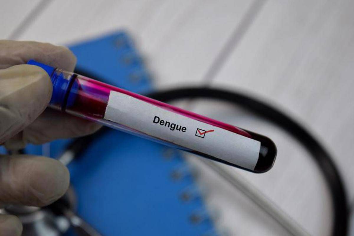 Dengue, salgono ancora i casi in Italia: 96 da inizio anno - 