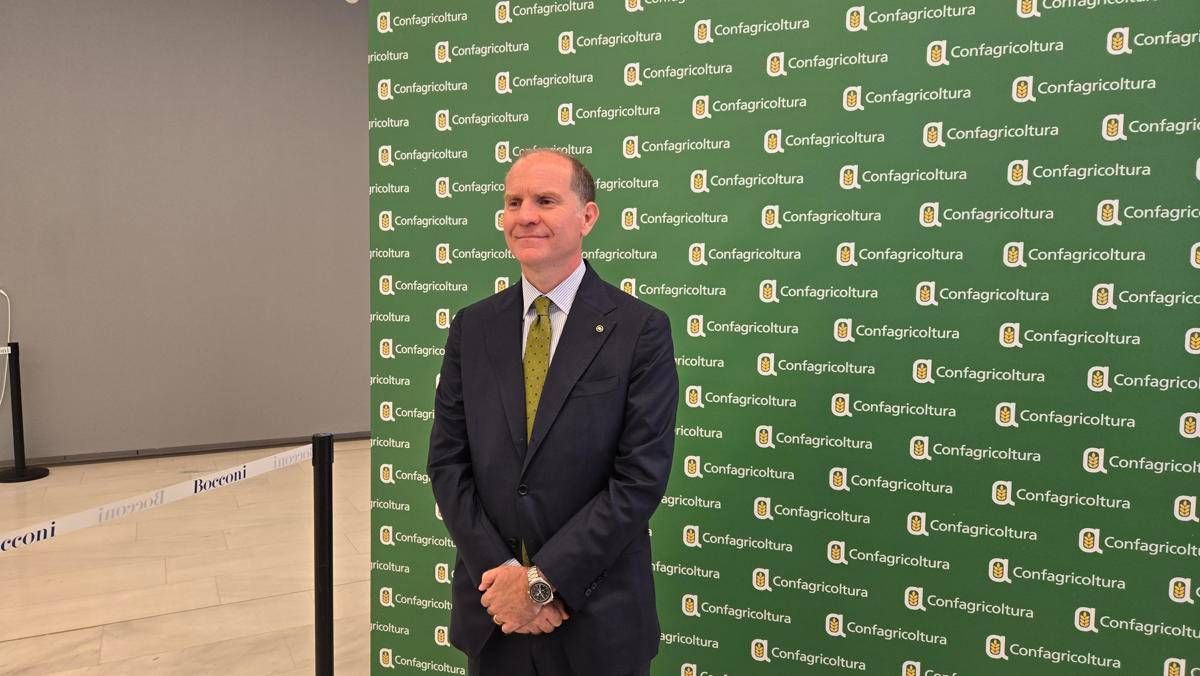 Giansanti (Confagri): "Taglio dei fondi Ue all'agricoltura farà danno irreparabile" -