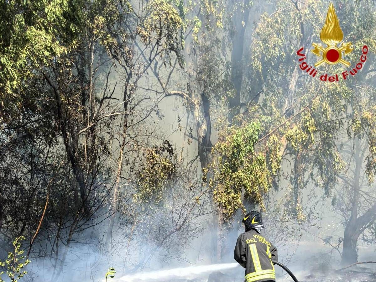 Incendio a Roma ovest, rogo di sterpaglie minaccia case e negozi - 