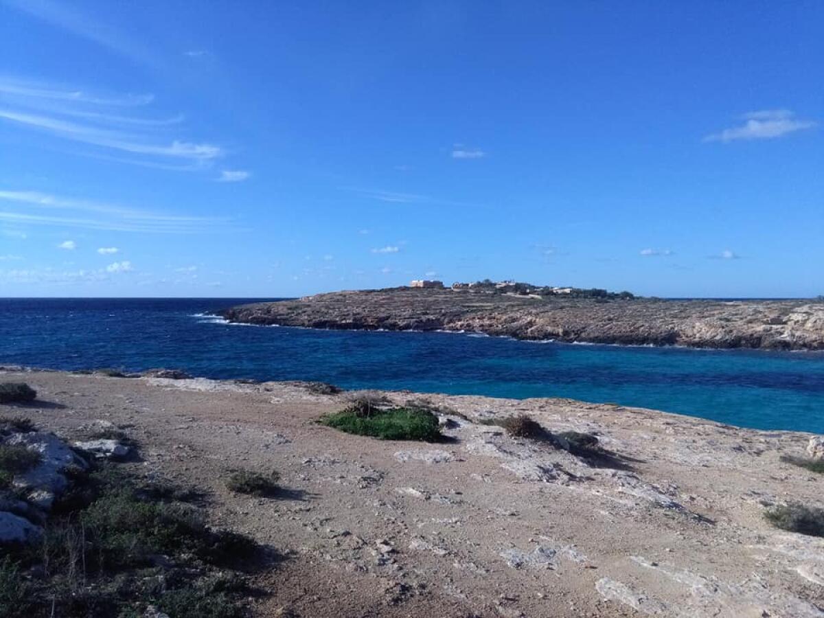 Tartarughe marine tornano a nidificare in Regione Siciliana | Scoperta sorprendente che sfida la crisi ambientale! - 
