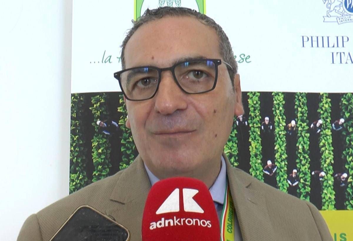 Coldiretti-Philip Morris, Cerreto (Fdi): "Accordo strategico per il rilancio della filiera e la tutela delle imprese" -