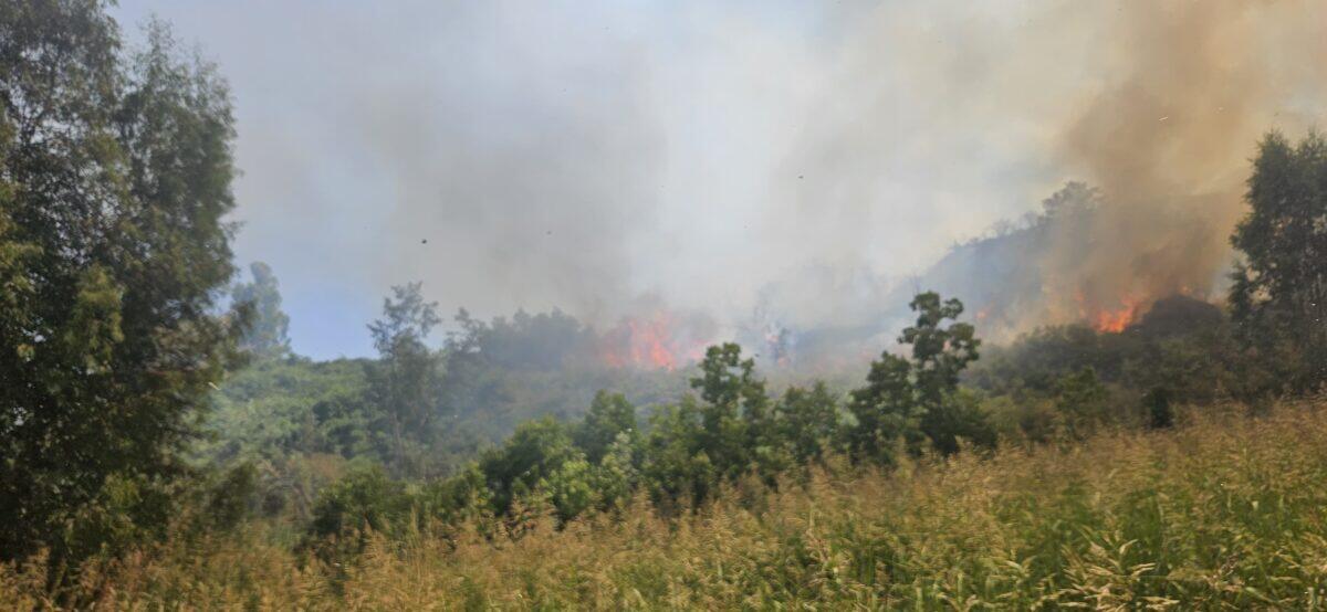 Volontari della Protezione Civile in azione contro gli incendi | Scopri perché questi eroi rischiano tutto per la nostra sicurezza!