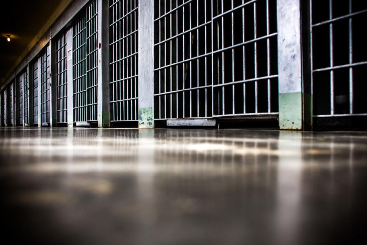 Un turista irlandese arrestato per un ritardo di 3 giorni | Chiunque potrebbe essere il prossimo vittima del sistema? -