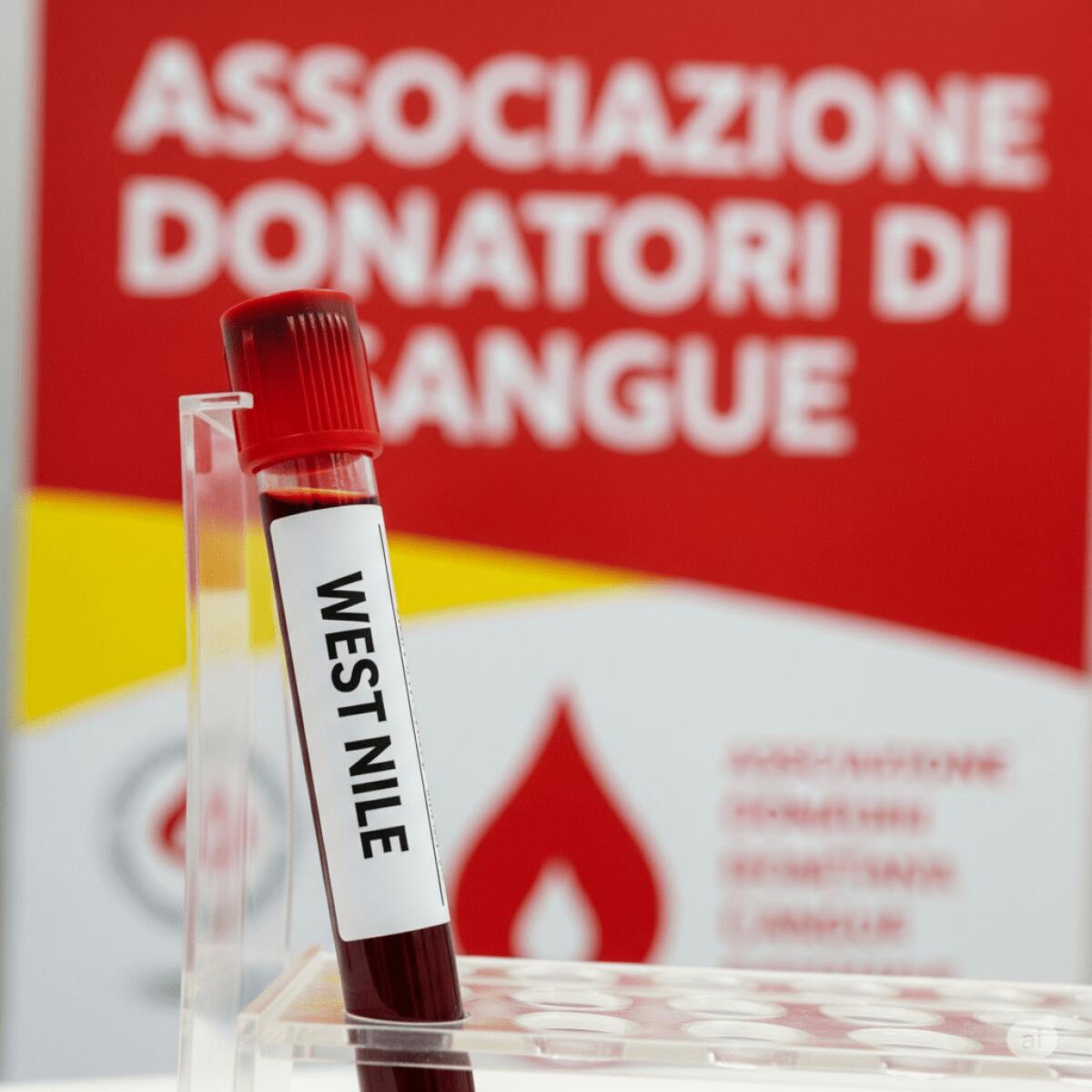 <p><strong>West Nile Virus colpisce l'Italia | Perché donare sangue è più sicuro che mai secondo AVIS Sicilia</strong></p> -