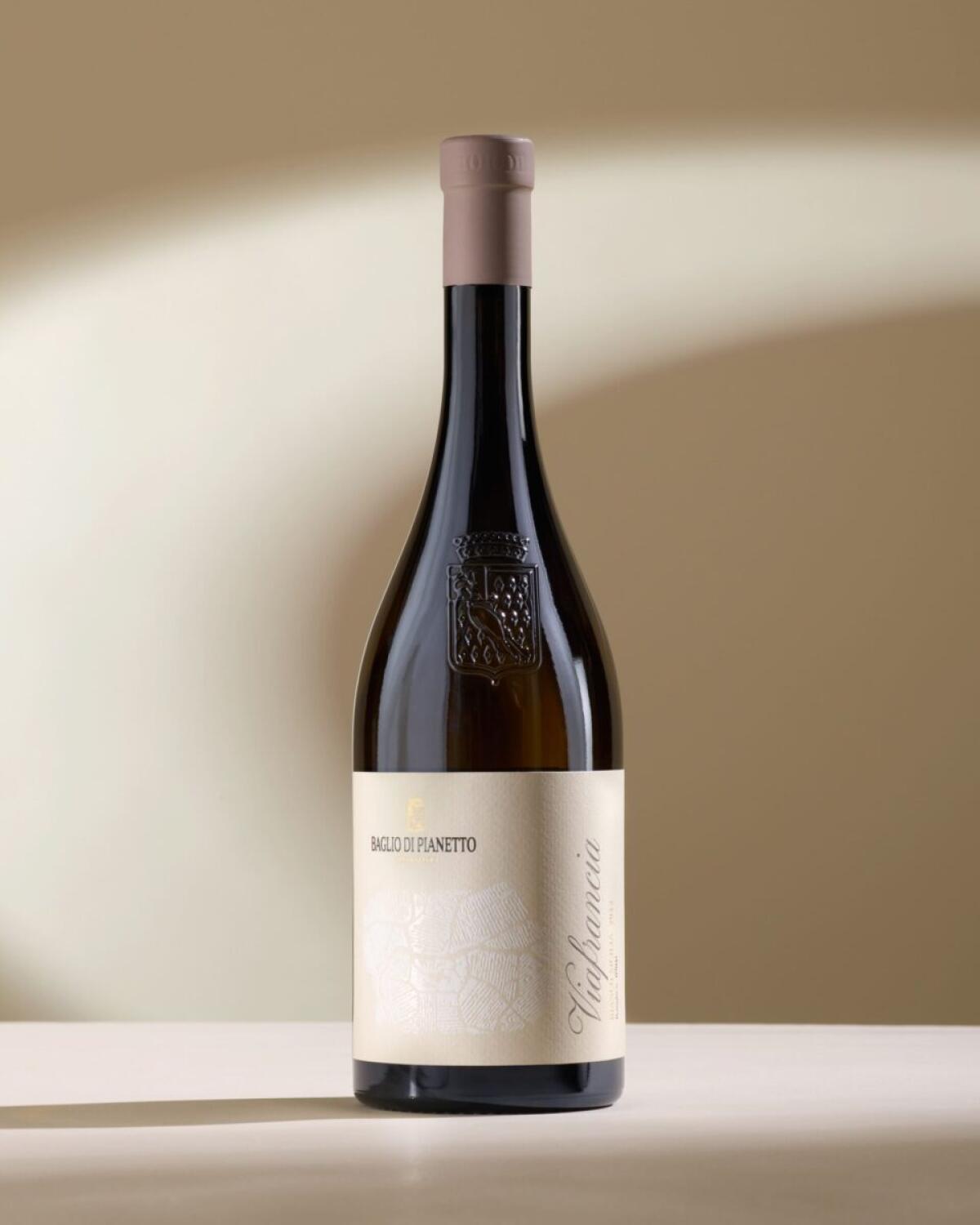 Nuove annate di Viafrancia sorprendono i palati | Scopri perché i vini biologici siciliani stanno facendo scalpore! -