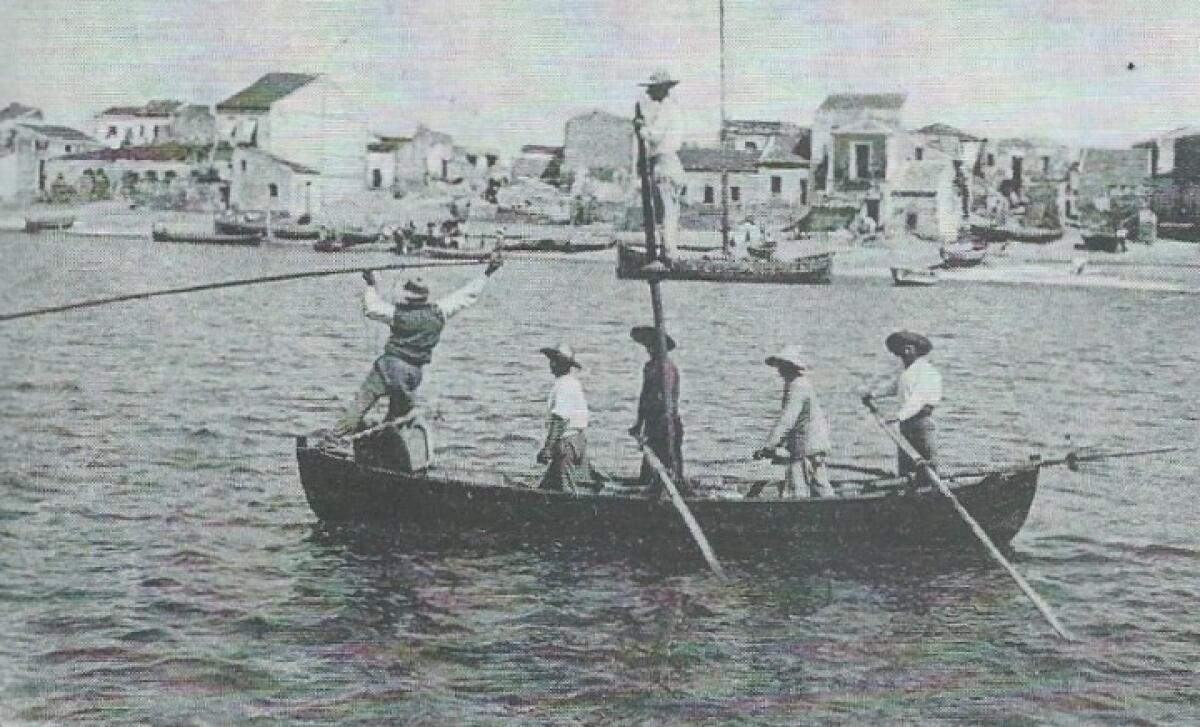 Comune di Messina svela un evento sorprendente | Scopri perché la caccia al pescespada sta unendo la città come mai prima d'ora! -