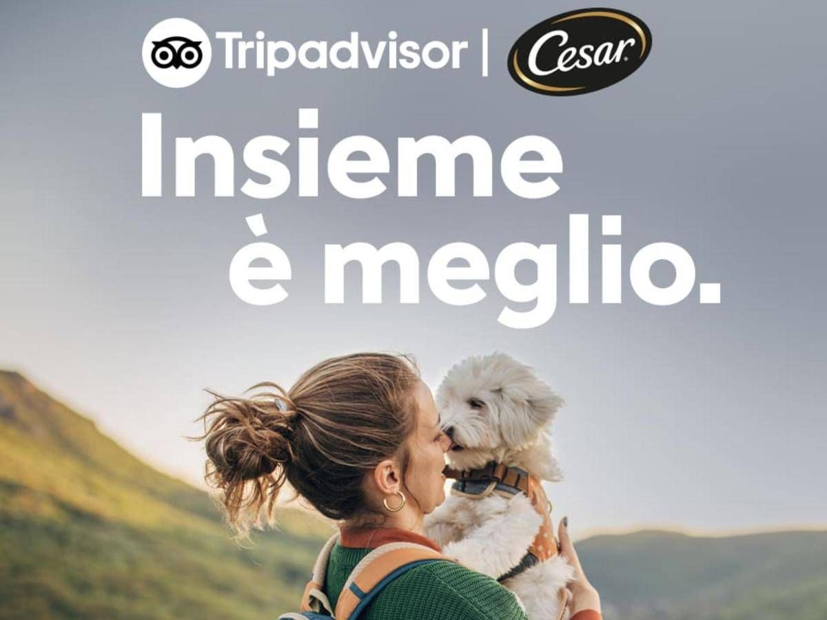 Vacanze, quasi la metà italiani rinuncia a viaggiare con il proprio cane -
