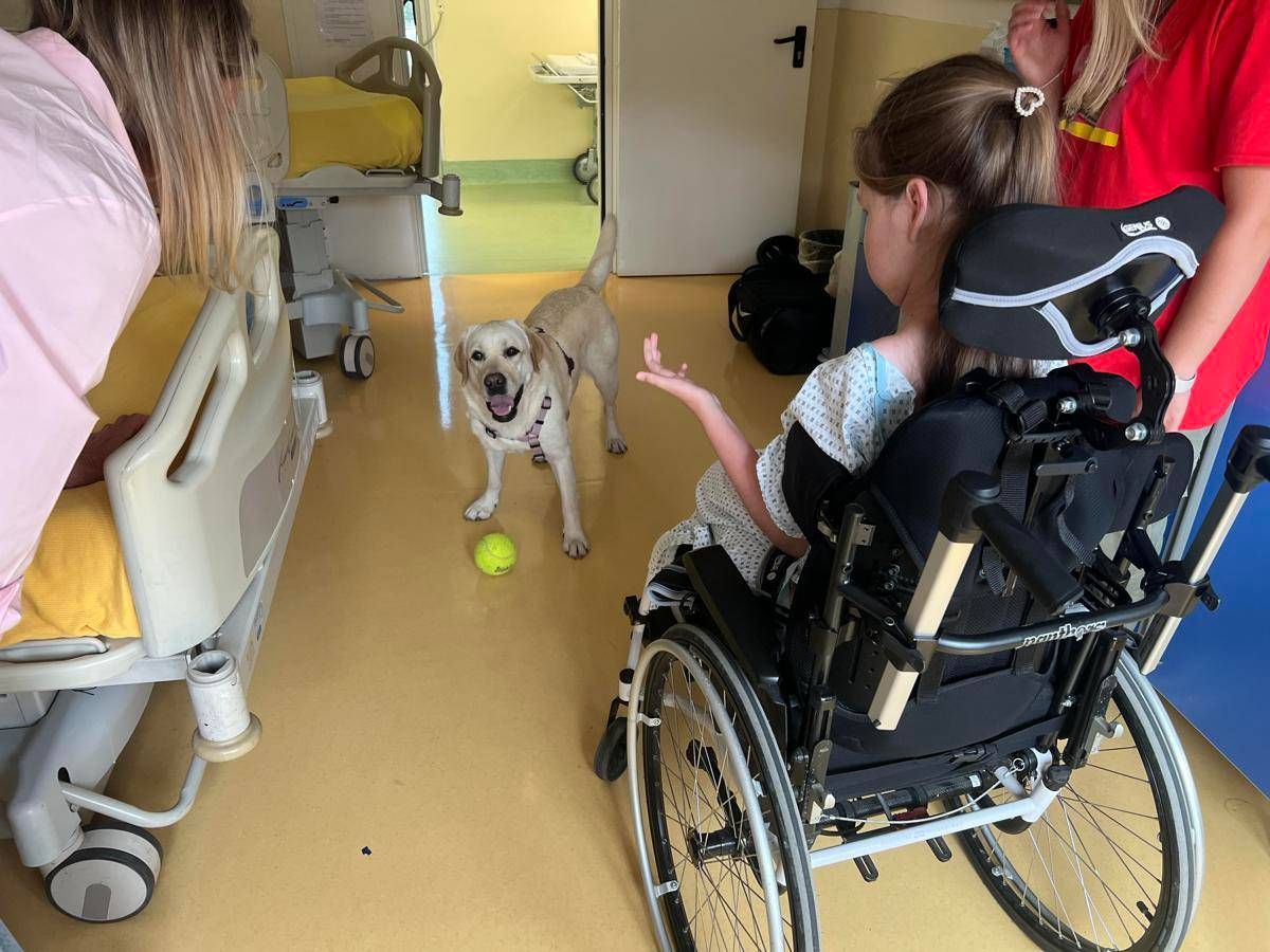 Sma, al Besta studio benefici pet therapy con Purina e Frida’s Friends - 