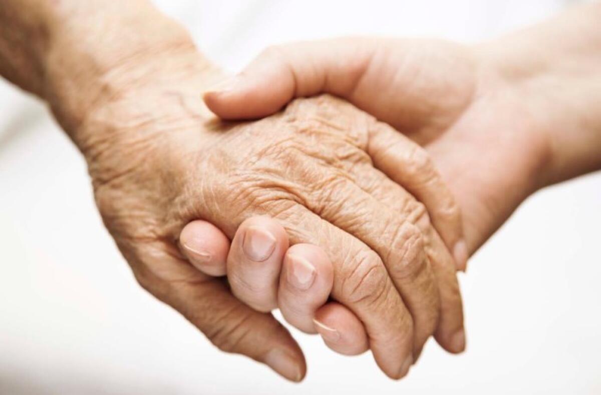 Nuovi marcatori fecali per diagnosticare l'Alzheimer | La scoperta che potrebbe cambiare tutto! -