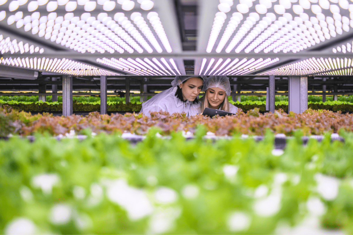 AgriMercati Ismea, positiva la congiuntura nel primo trimestre 2025 - 