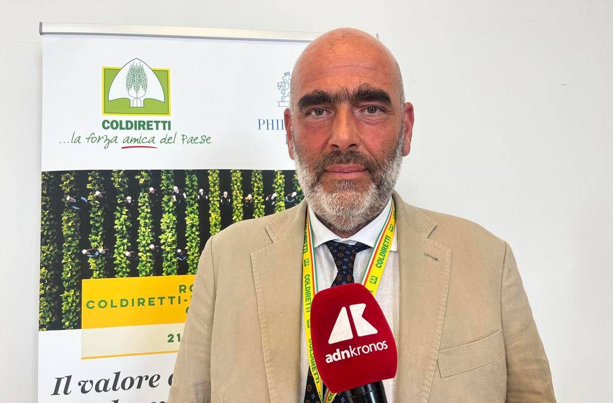 Tabacco, Bellelli (Coldiretti Campania): "Accordi di filiera fondamentali per redditività, ambiente e giovani agricoltori’ - 