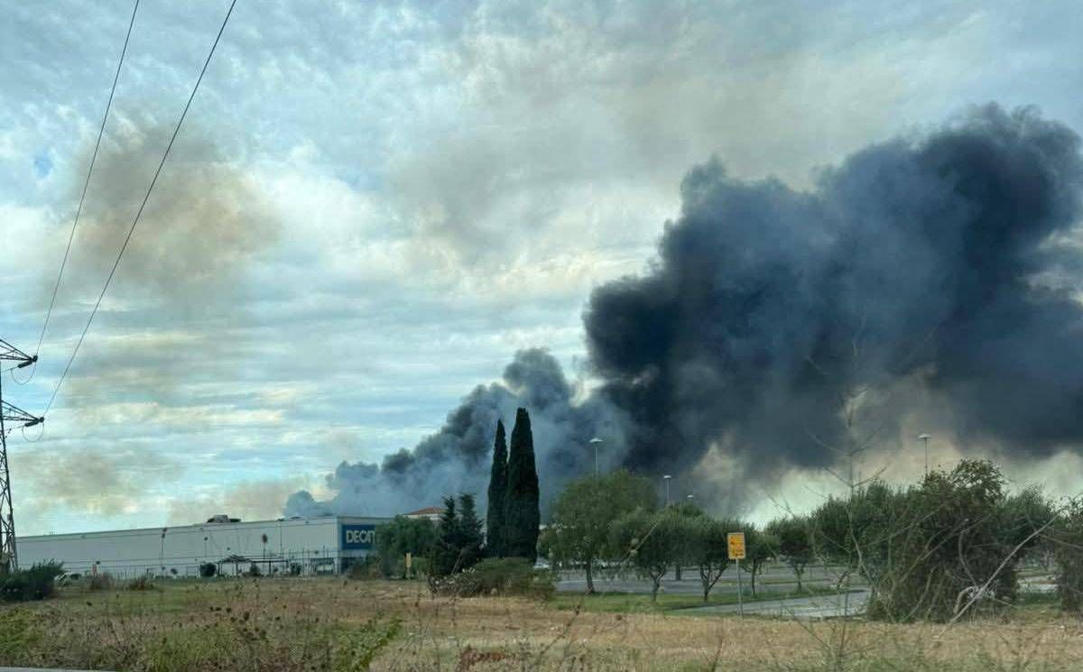 Incendio a Fiumicino, colonna di fumo nero alta chilometri visibile in tutta Roma Sud -