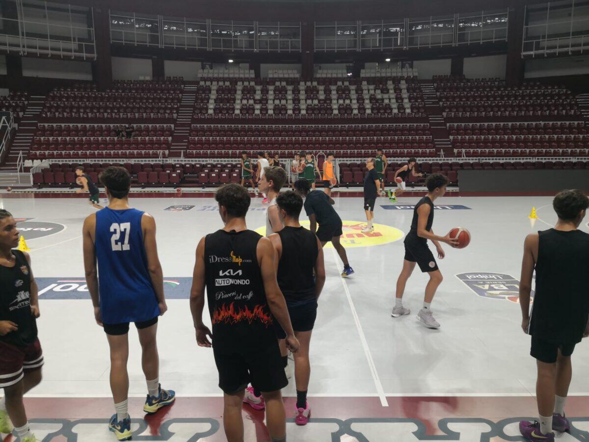 Successo straordinario per il primo STAGE GRANATA | Scopri perché Trapani Shark è il futuro del basket giovanile! -