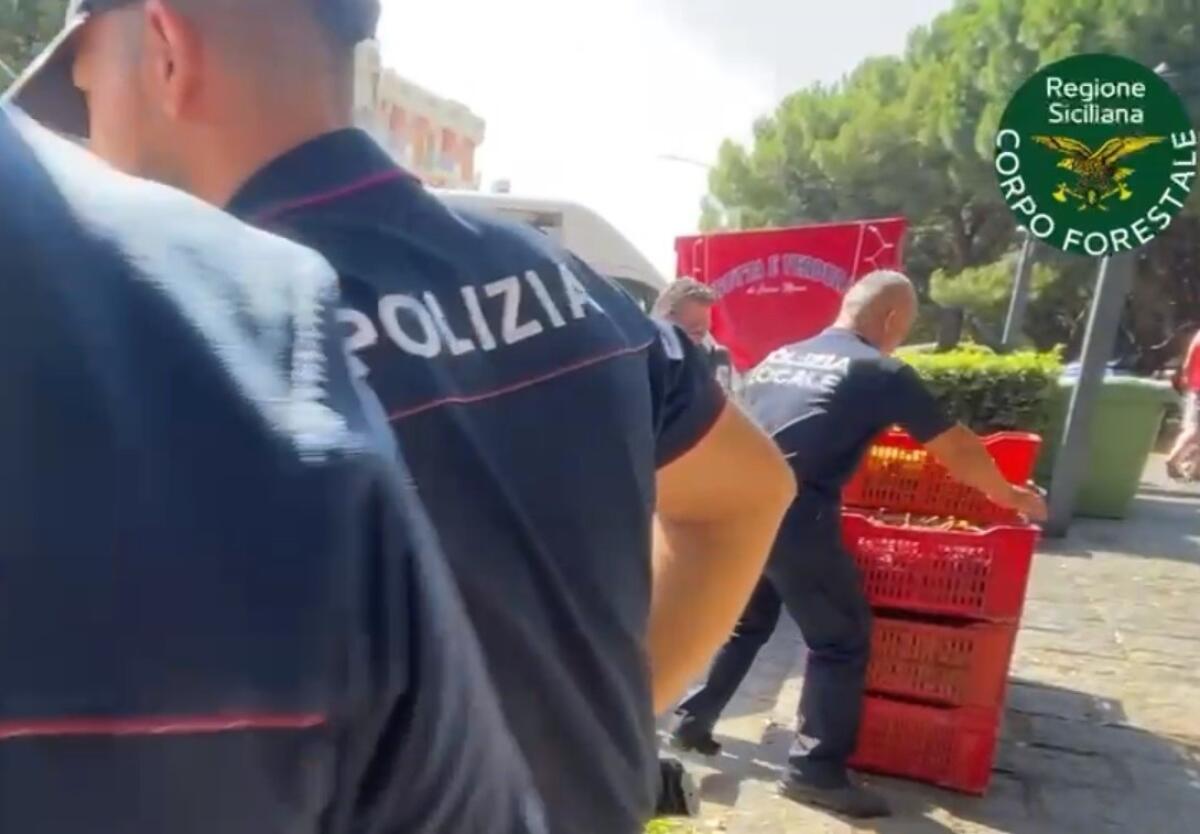 Oltre 420 chili di uva sequestrati dalla Polizia di Catania | Scopri il lato oscuro del commercio alimentare! -