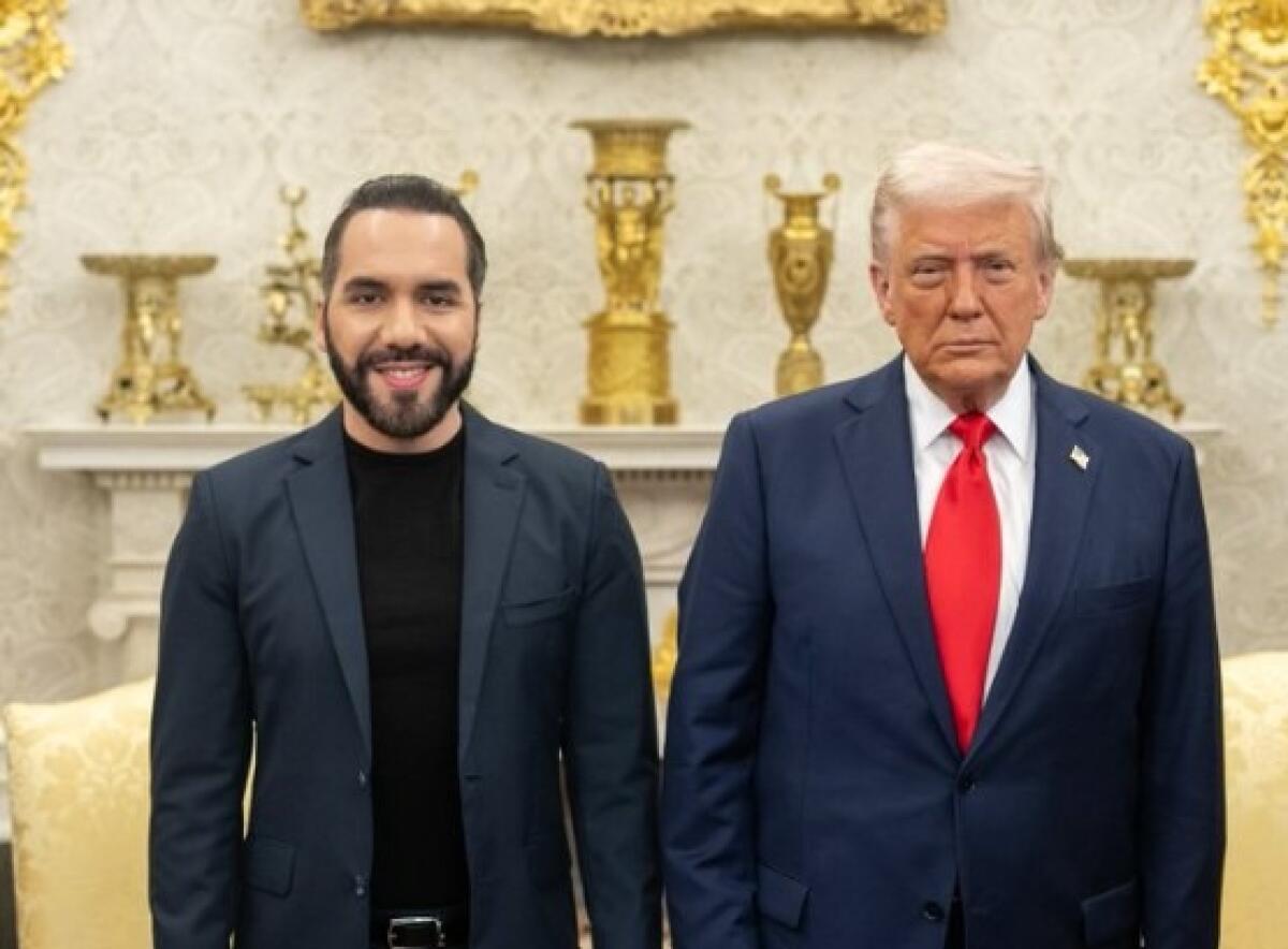 Trump e Bukele: il segreto di un'alleanza controversa | Cosa nasconde davvero questa strategia di sicurezza? -
