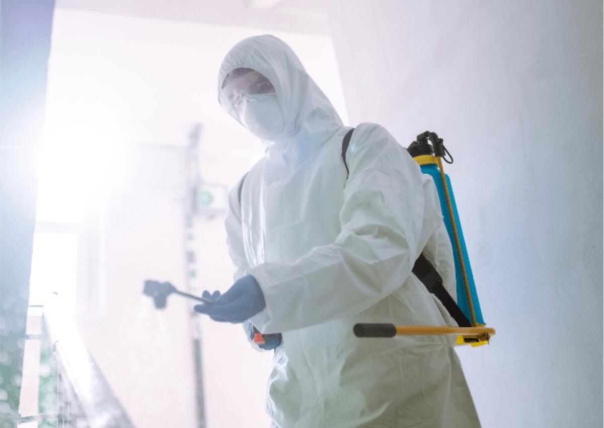 Disinfestazione estiva nel Comune di Caltanissetta | Tutto ciò che devi sapere per proteggere la tua casa! -