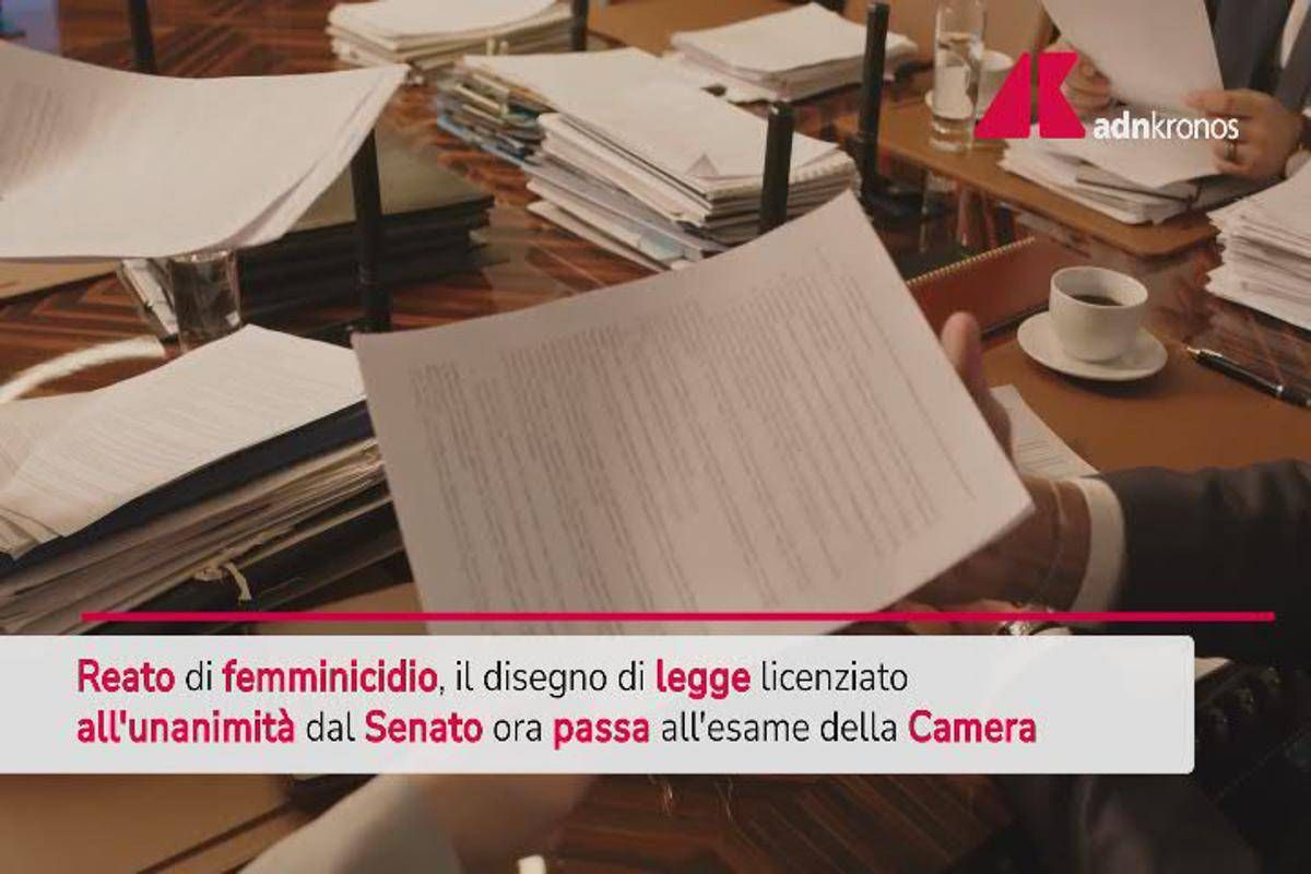 Femminicidio, da Senato sì all'unanimità a disegno di legge -