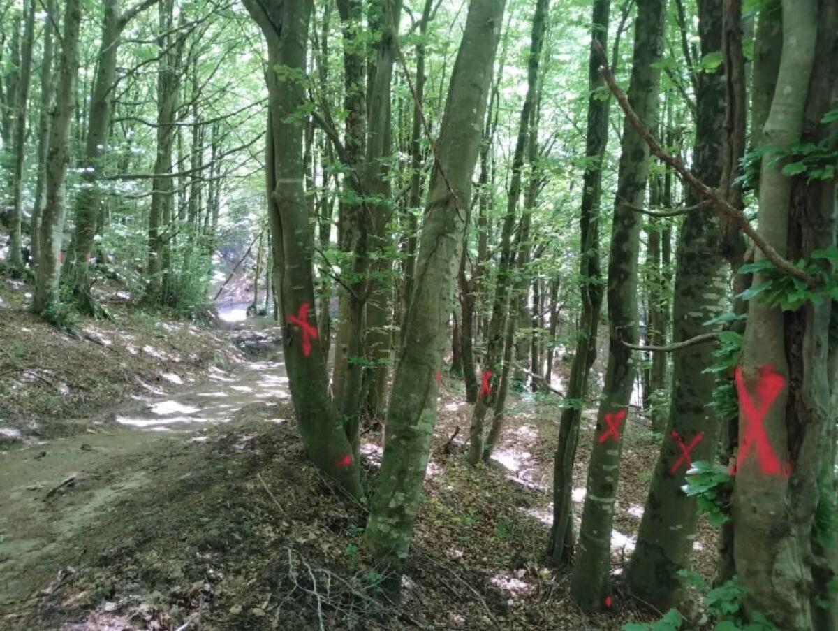 Cinquanta incappucciati occupano un cantiere eolico in Mugello | la resistenza ecologista sfida la violenza! - 