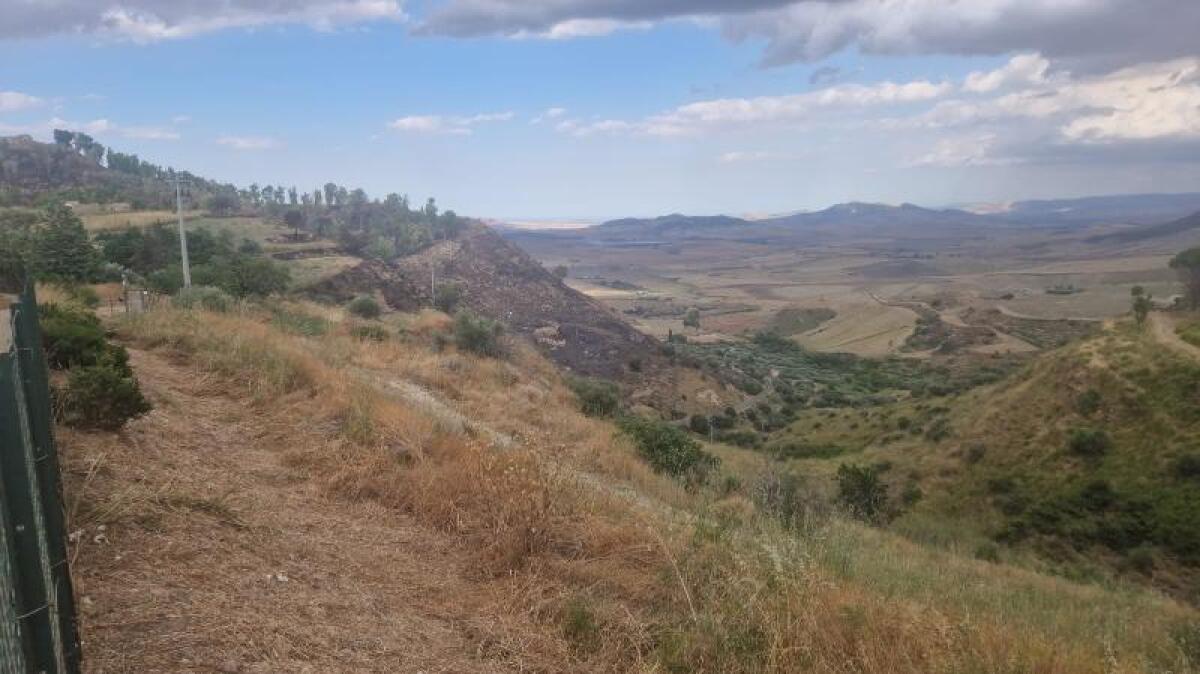 Incendio Spettacolare nel Parco Archeologico di Morgantina | La Regione Siciliana sconvolta: cosa sta davvero succedendo? - 