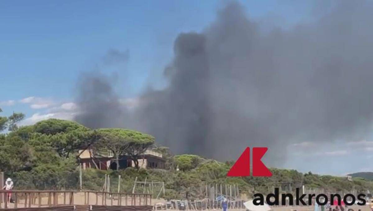 Pineta in fiamme, incendio minaccia campeggio a Castiglione della Pescaia: soccorsi in azione - 