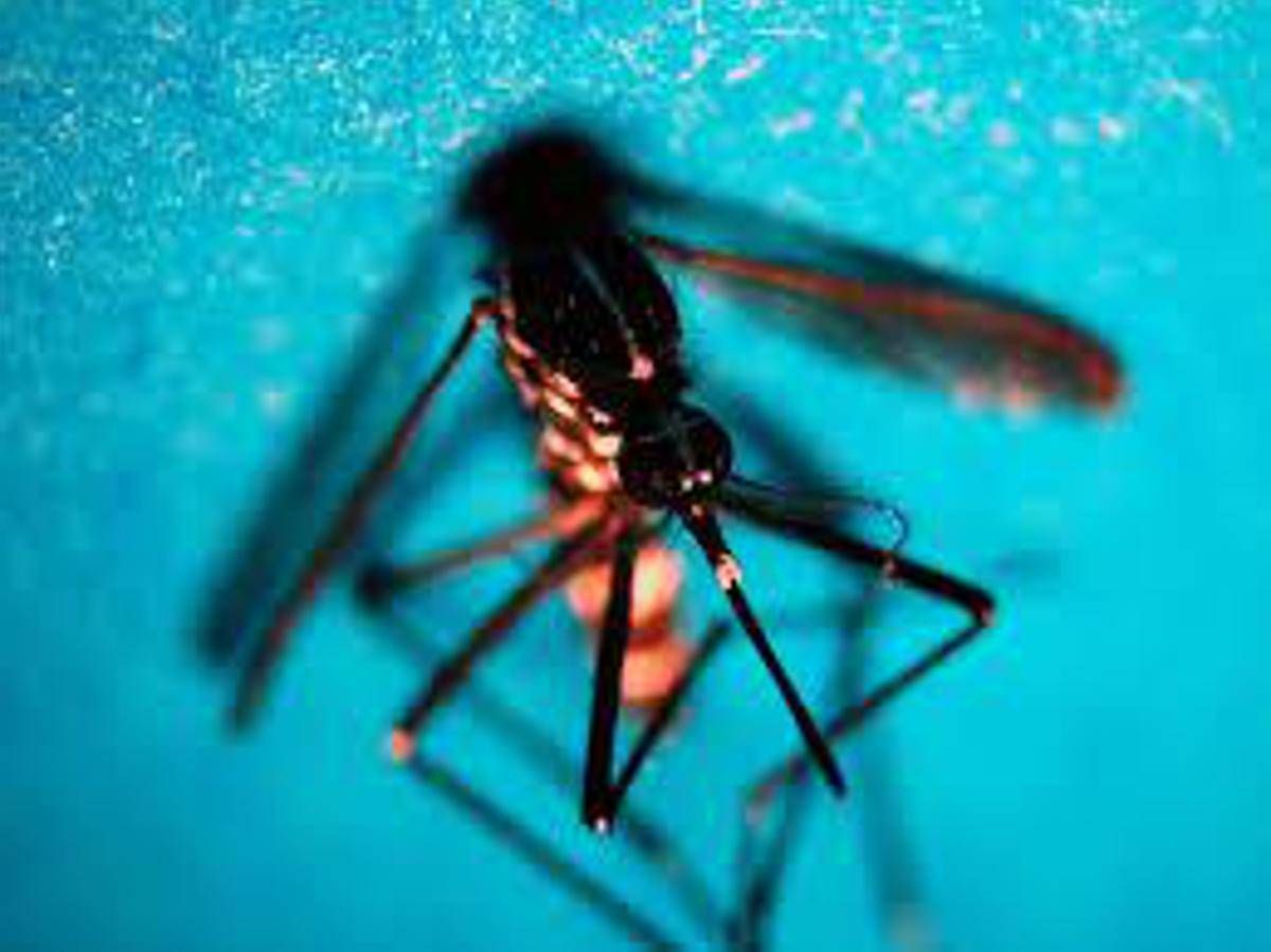 West Nile, Fism: "Apprezzamento per attività Dipartimento Prevenzione ministero Salute" -