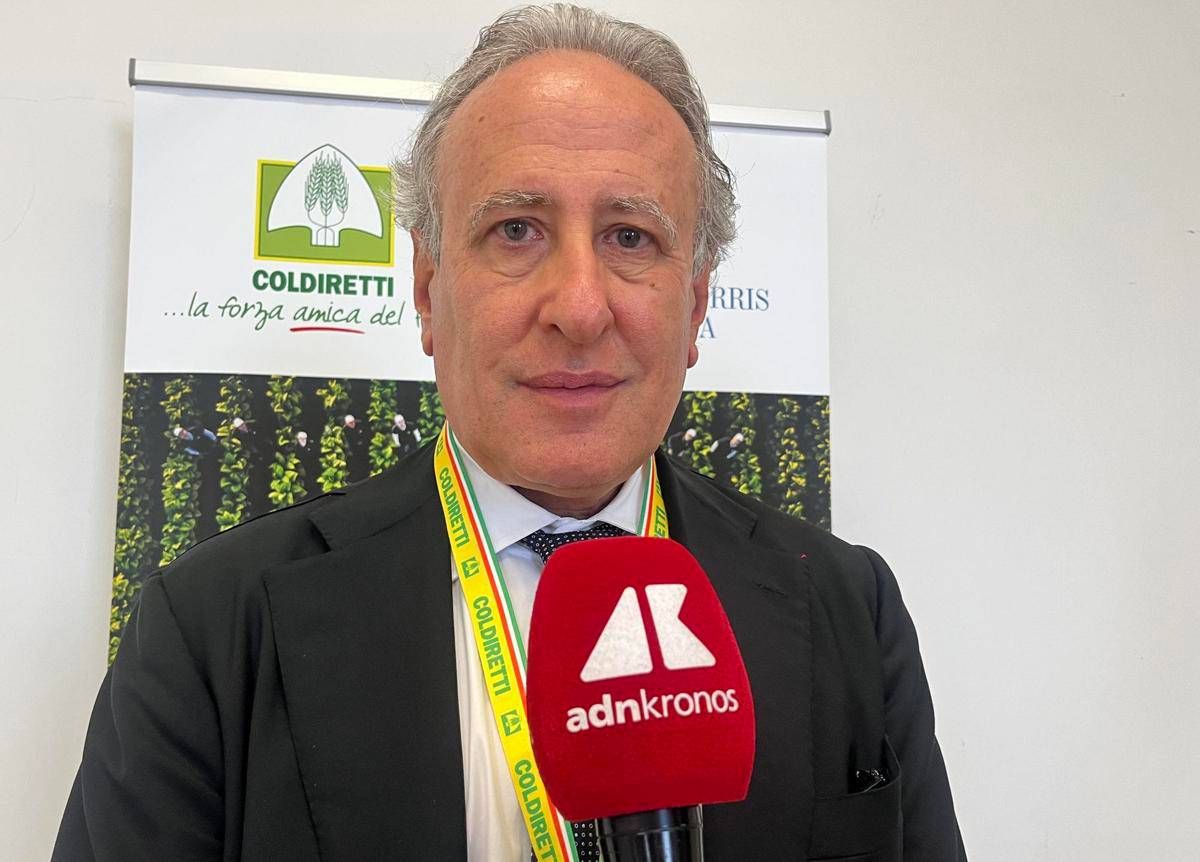 Tabacco, Lorito (Federico II): "La filiera integrata è la chiave per i territori, i giovani e il rilancio dell'agricoltura" -