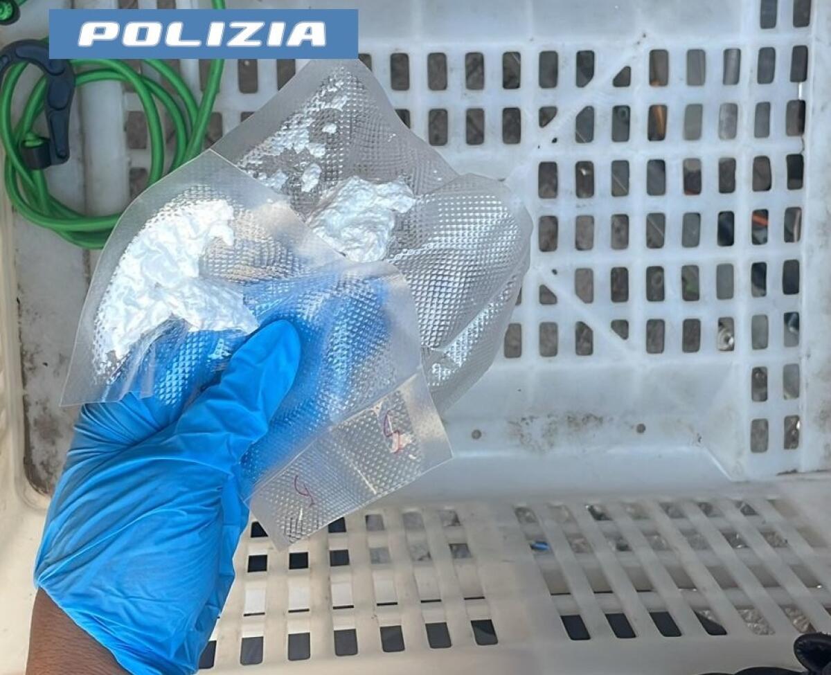 Scoperto un deposito di droga in un box a Catania | La Polizia ha svelato segreti scioccanti sul suo proprietario! -