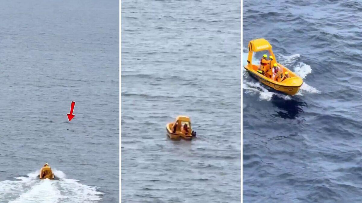 Bimba di 5 anni cade dalla nave Disney mentre il papà si tuffa | La verità dietro a questo drammatico salvataggio ti sorprenderà! - 