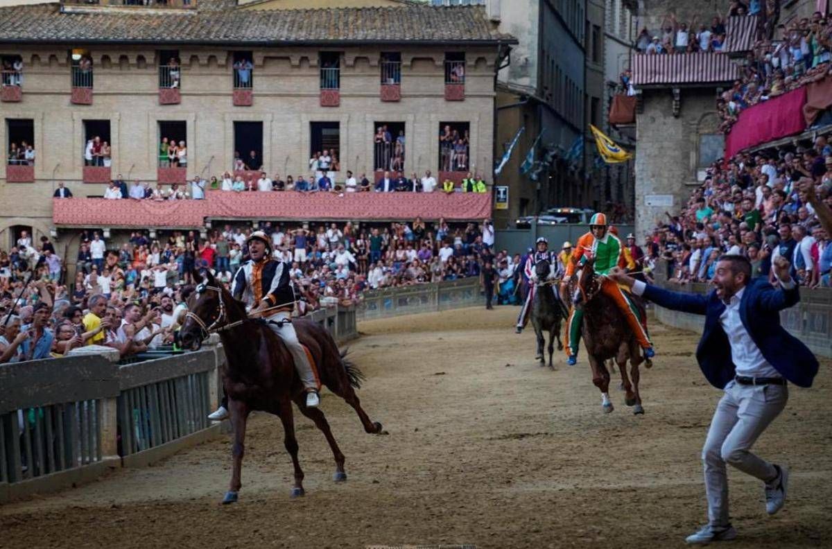 Palio di Siena oggi 2 luglio, contrade al via e come vederlo in tv - 