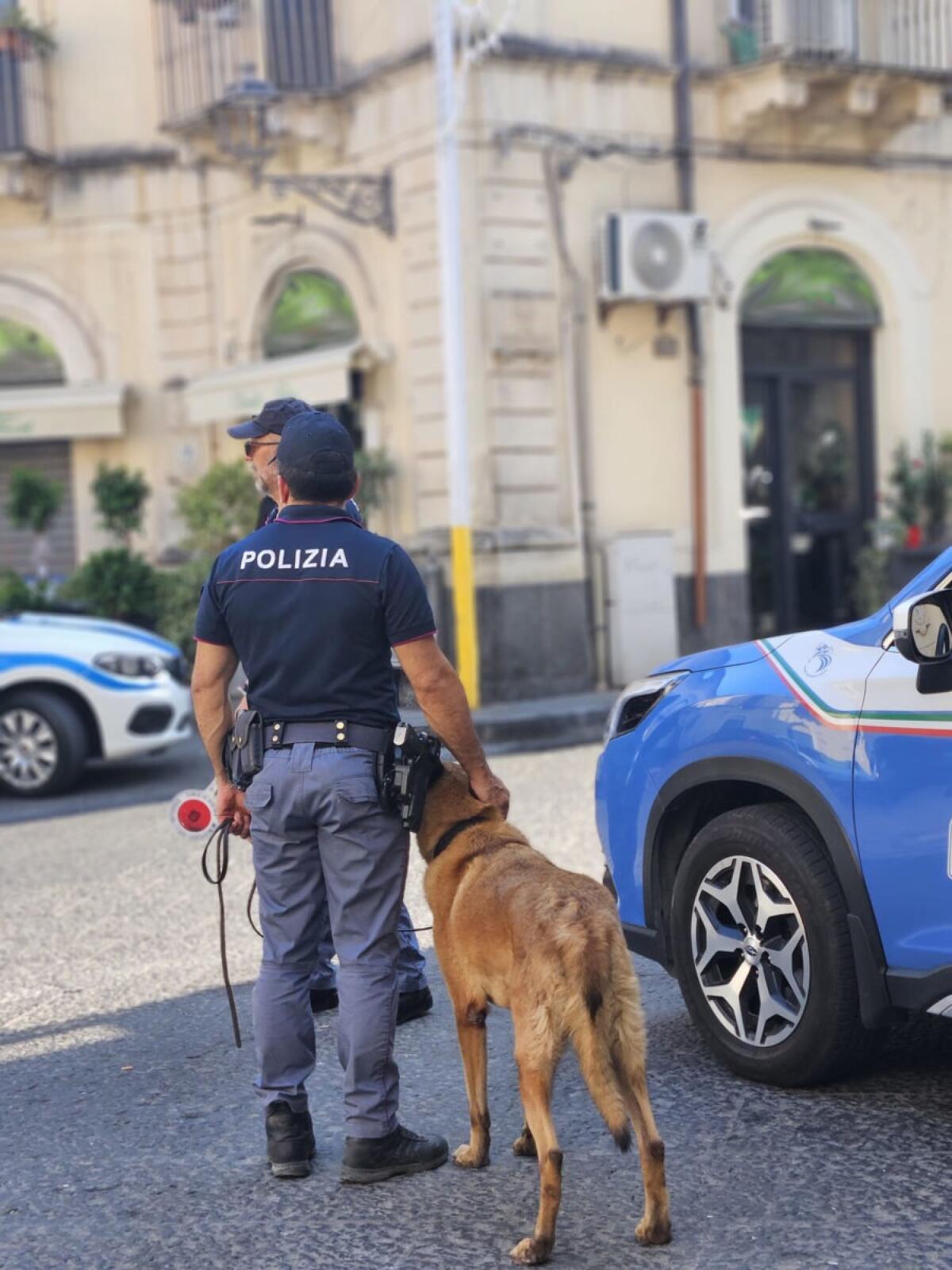 Strage di veicoli a Catania | Il piano segreto della Polizia svela dati allarmanti!