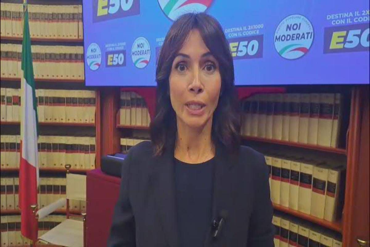 Carfagna: "Ilaria Cavo eletta presidente del Consiglio nazionale di Noi Moderati" -