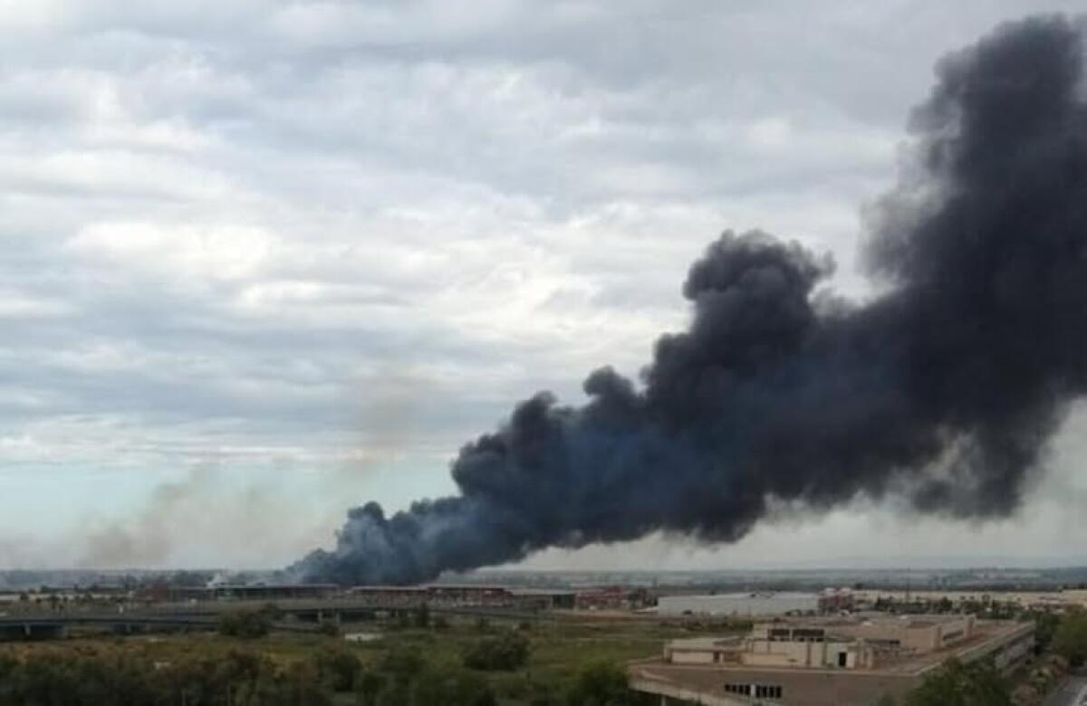 Fiumicino in fiamme | Un incendio dietro il centro commerciale che sta preoccupando tutti! -
