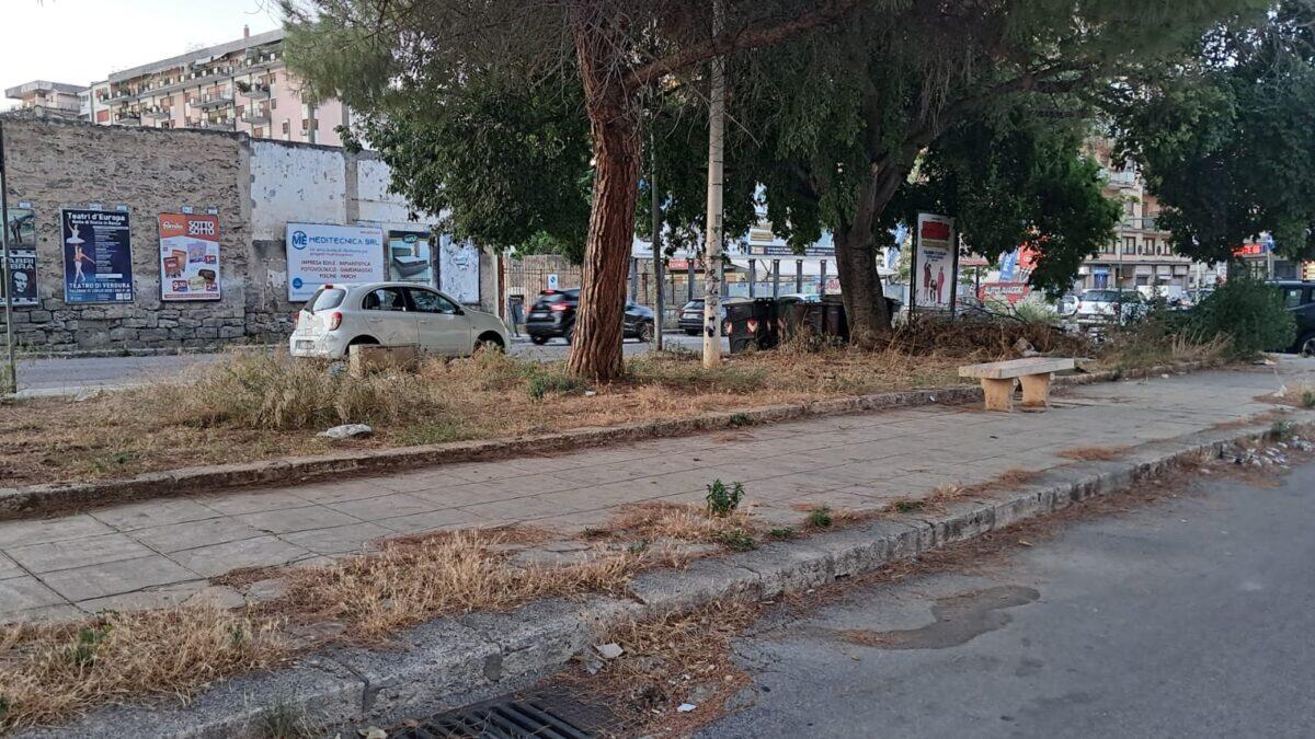 Palermo in crisi verde | La RESET ignora le emergenze e mette a rischio la salute pubblica? -