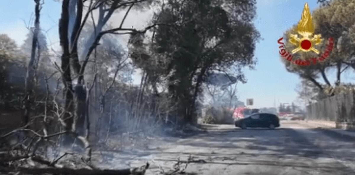 Esplosione a Roma: cosa non ti hanno mai detto sulla sicurezza in caso di emergenze | Sei davvero preparato a proteggere la tua famiglia? -