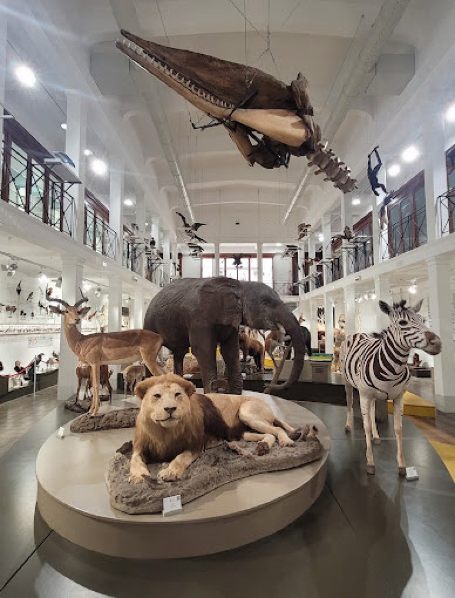 A Catania c'è un museo storico con una collezione incredibile, non immaginerai mai cosa nasconde - Foto: Kostis Zaxaris