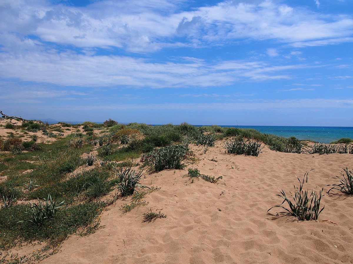 Il paradiso segreto di Castelvetrano: la foce e le dune dove il Mediterraneo si ferma a respirare - Foto: Sabela Cal/Wikipedia