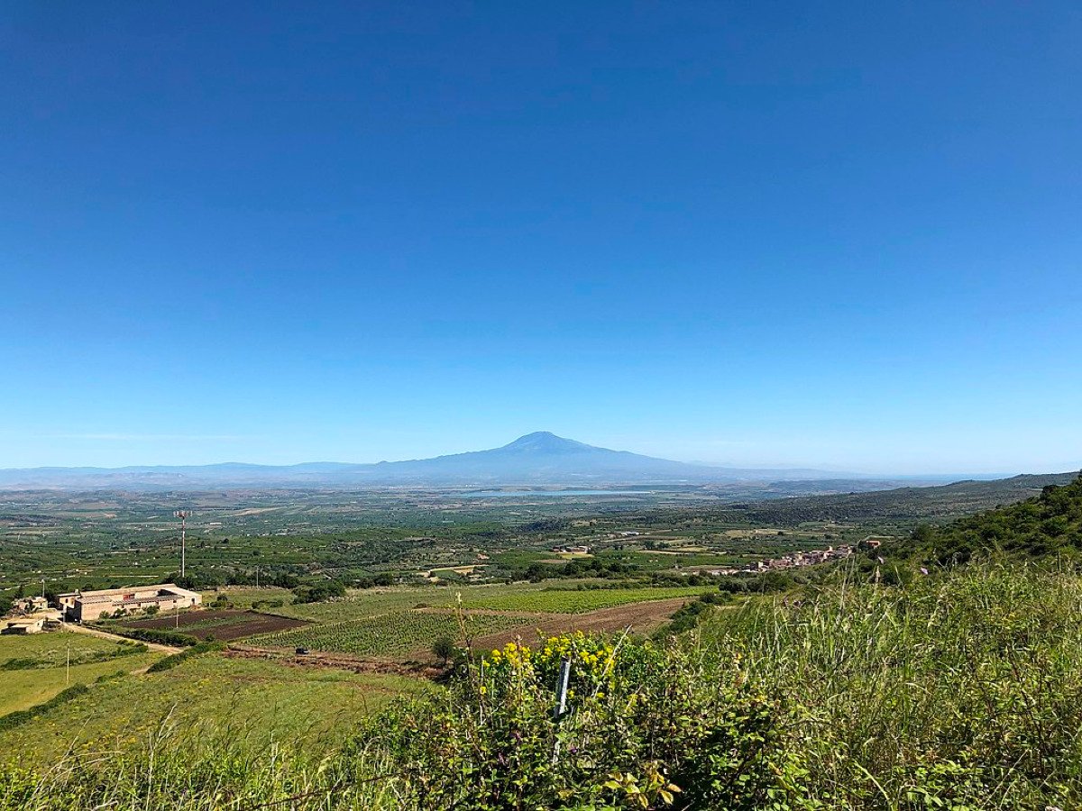 Una distesa che sembra infinita: il cuore fertile della Sicilia che ha visto imperatori, battaglie e leggende millenarie - Foto: Davide Mauro/Wikipedia