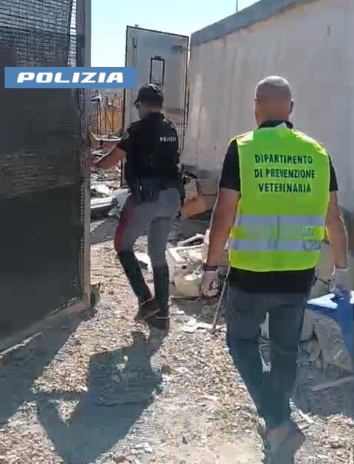 Catania: Cavallo in condizioni disastrose salvato dalla Polizia | Ma quali segreti nasconde il fatiscente box? -