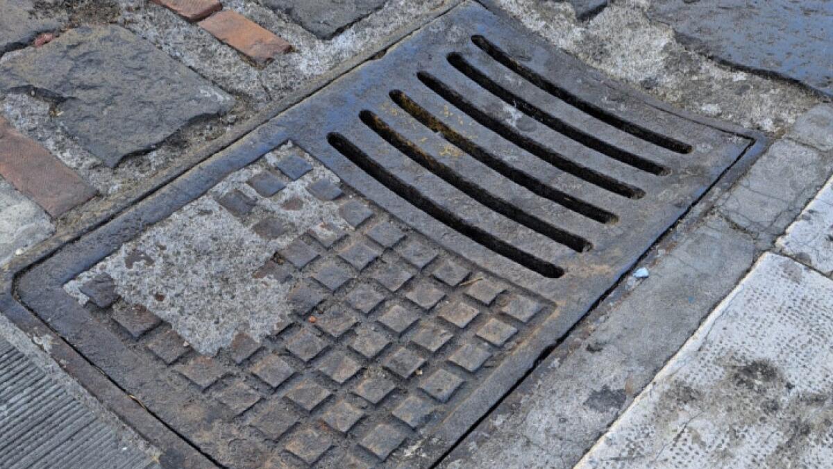 Comune di Caltanissetta sorprende con una mossa shock | È davvero la soluzione definitiva ai problemi di ratti? -