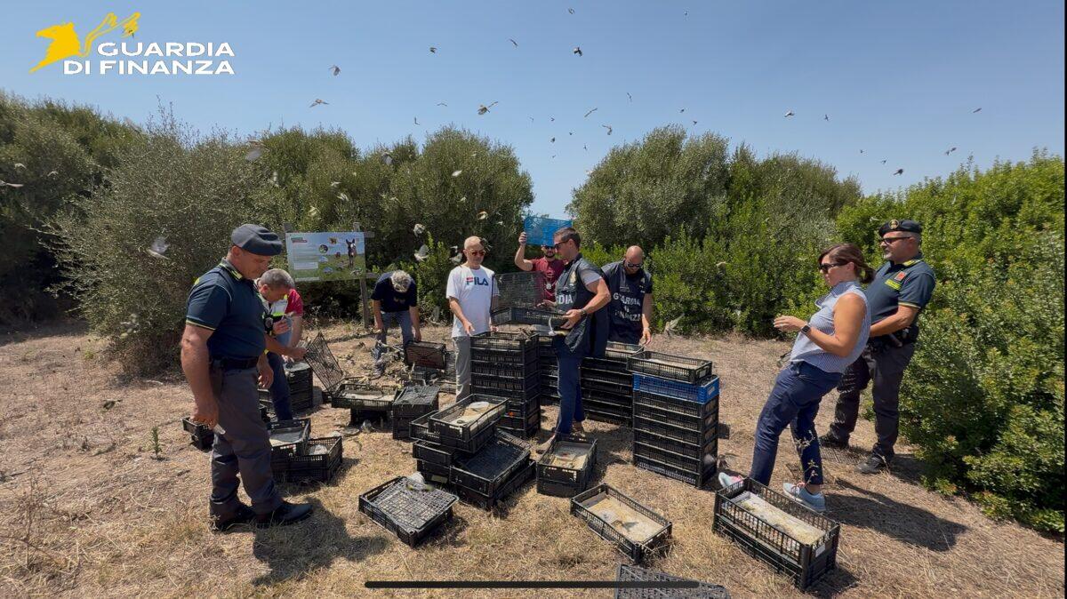 Liberati 2.600 uccelli dal mercato illegale | È davvero possibile fermare questo orrore? - 