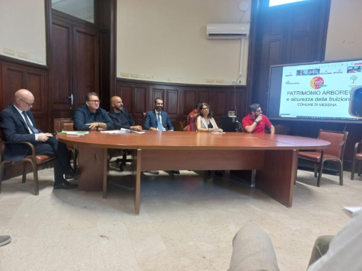 MessinaServizi Rivela: oltre 1.270 Nuovi Alberi Piantati nel Comune di Messina | Ma perché tutti parlano solo degli abbattimenti? -